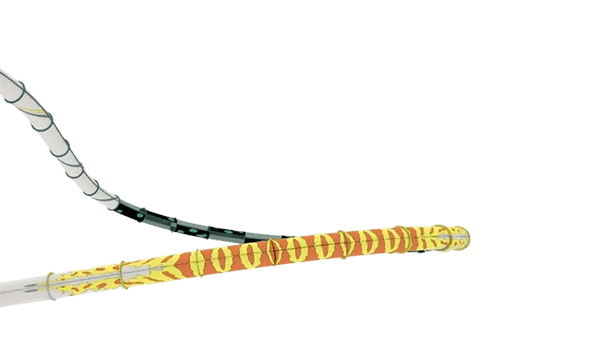 Background image for homepage introduction zone