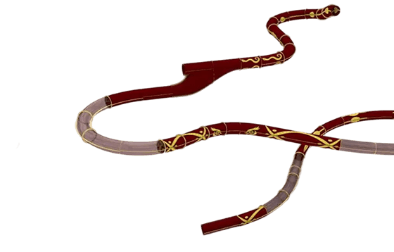 Background image for homepage introduction zone